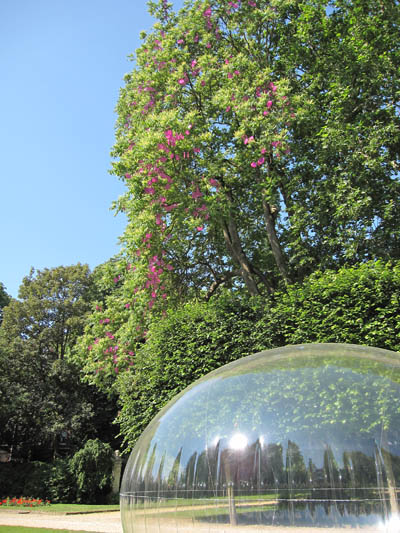 AppeldairaapbulleIMG_3722a.jpg