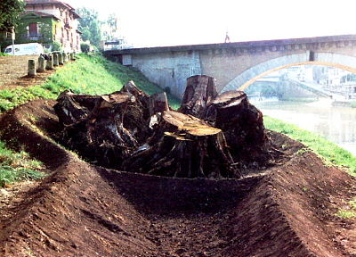 artpublic_mdm2.jpg