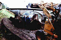 mdm_tracto