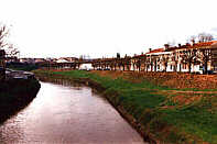 mdmavant