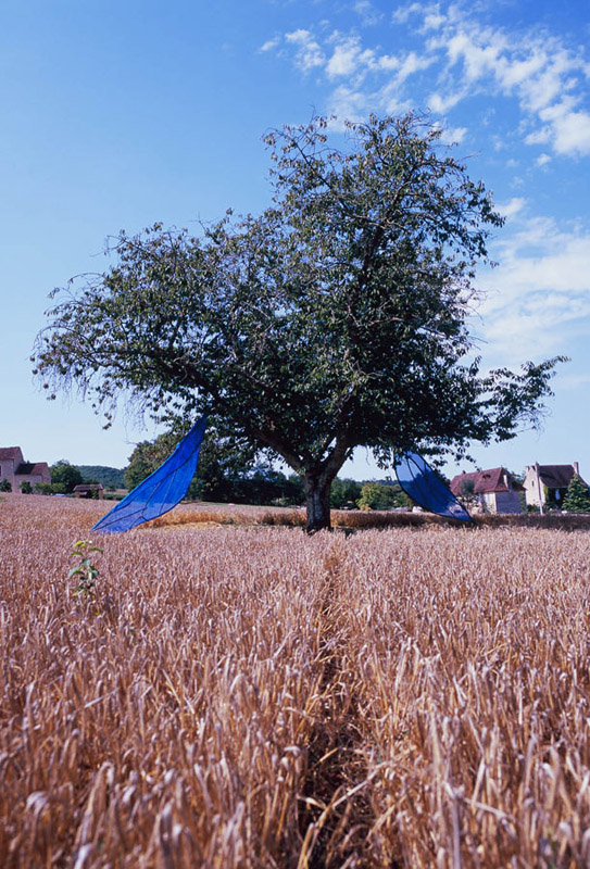 Aile2009_800.jpg