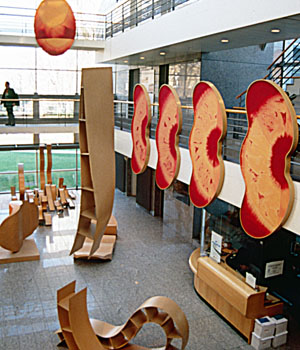 INSTCHOISY1998001aAB.jpg