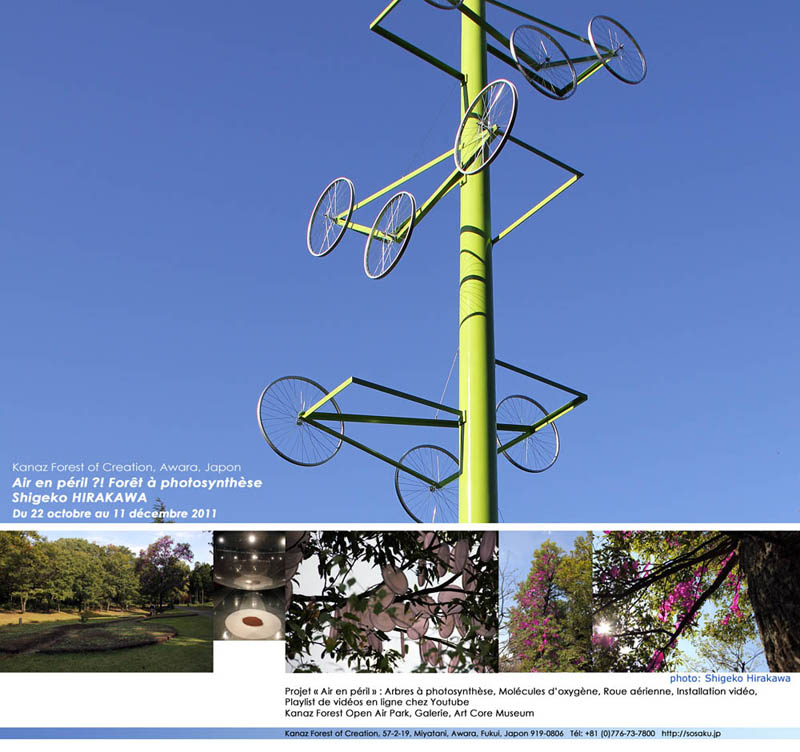 NEWSLETTER2011-12-F2SITE