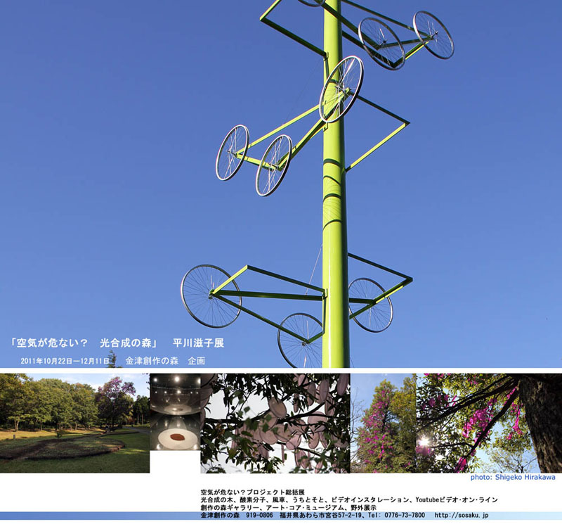 NEWSLETTER2011-12-J-SITE