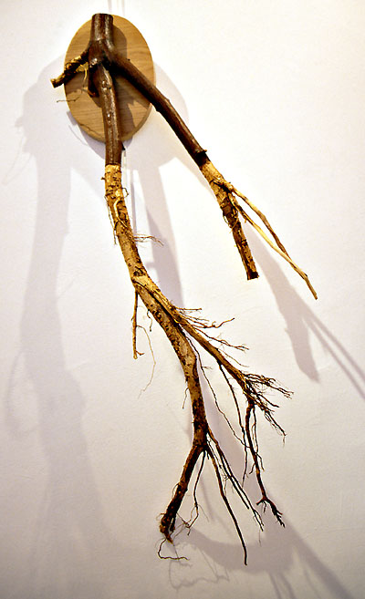 appropr2000_5A.jpg