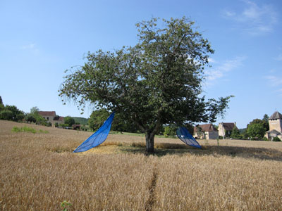 arbreaile09.jpg