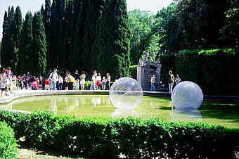 pondbulle