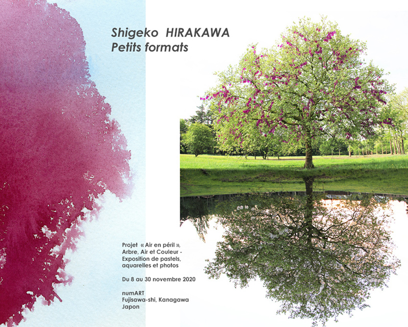 dm solo show hirakawa