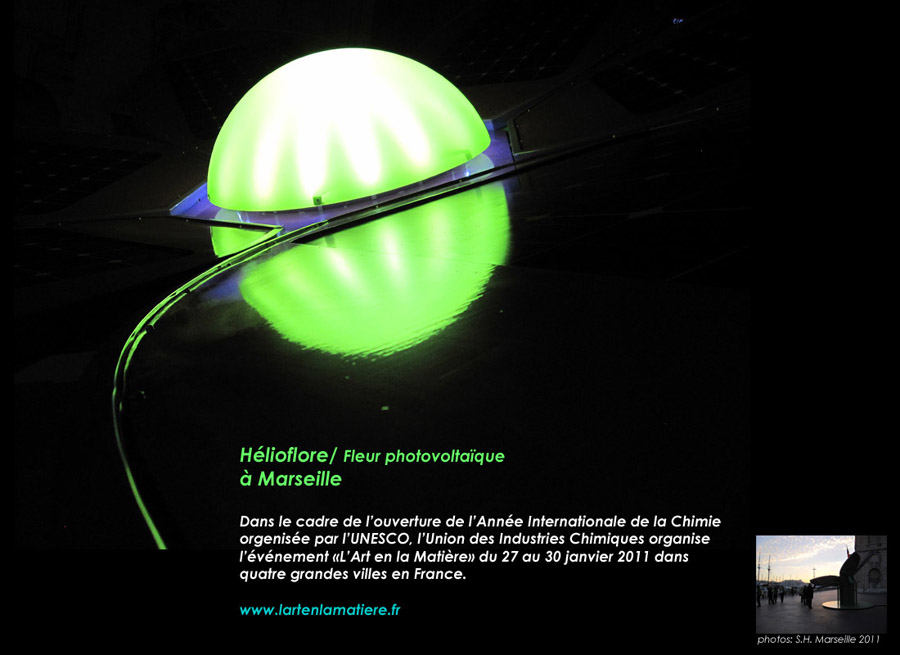 fleurphotovoltaiquedm2.jpg