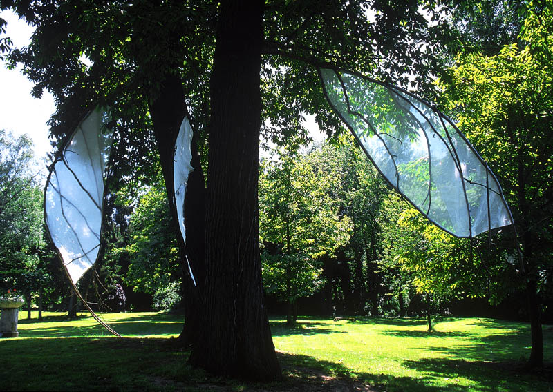 installation_wingedtrees_1.jpg