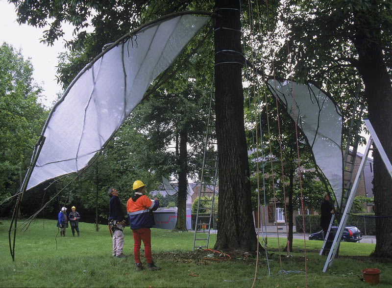 installation_wingedtrees_2.jpg