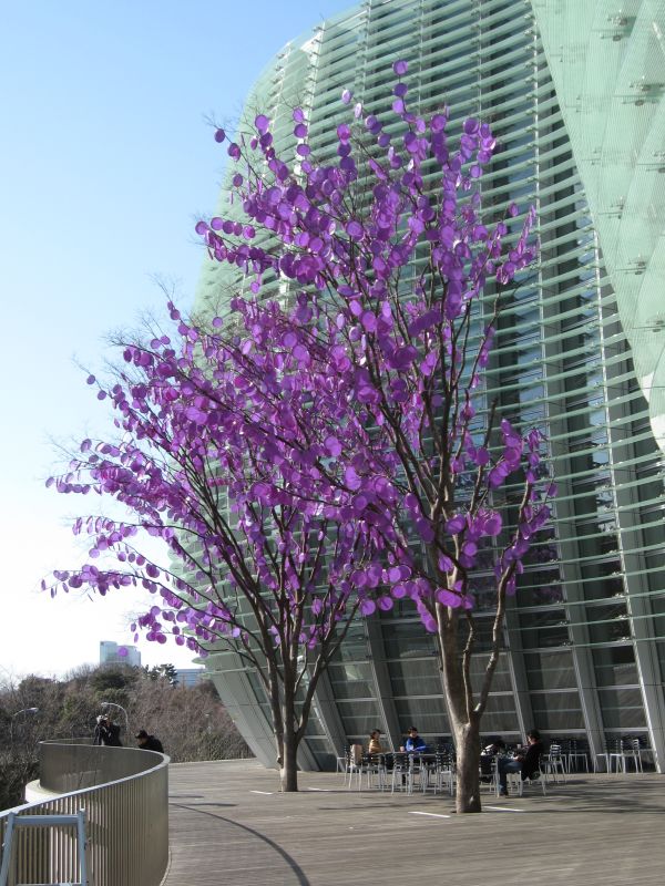 nact tokyo tree of photosynthesis